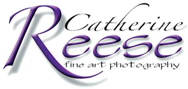 Catherine Reese Fine Art Photography