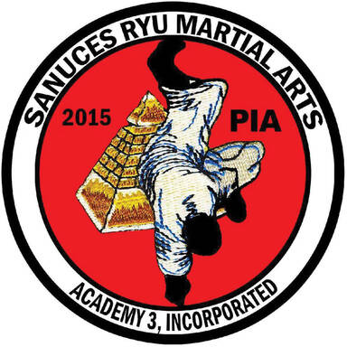 Sanuces Ryu Martial Arts Academy 3