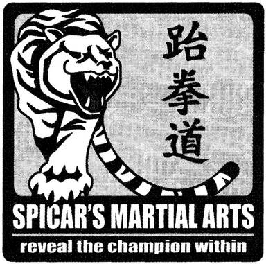 Spicar's Martial Arts Inc.